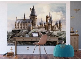 Fototapeta dla dzieci Harry Potter Hogwart 252 x182 cm, 4 części