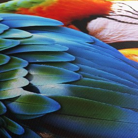 Obraz - Papuga (170x50 cm)