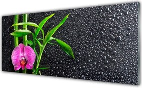 Szkło Ozdobne do Kuchni Bambus I Rosa O Poranku