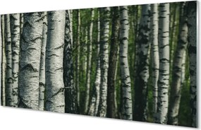 Panel szklany do Kuchni Białe Pnie Brzóz