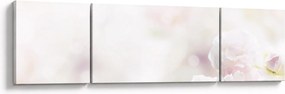 Obraz delikatnych kwiatów (170x50 cm)