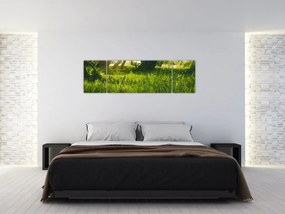 Obraz natury - łąka (170x50 cm)