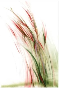 Obraz na płótnie Trawy, Seria Shanghai 2