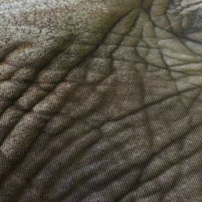 Obraz - Zbliżenie na stare oko słonia (170x50 cm)