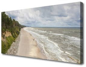 Obraz na Płótnie Plaża Morze Drzewo Natura