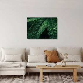 Obraz na szkle - Szczegół arkusza (70x50 cm)