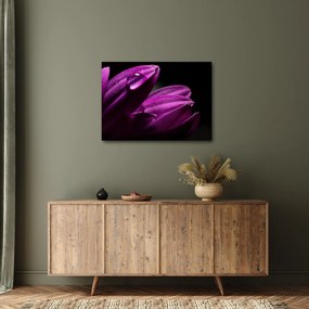 Obraz  - Kropla wody (70x50 cm)