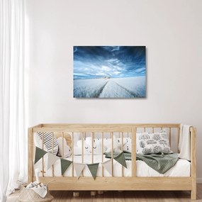 Obraz na szkle pola (70x50 cm)