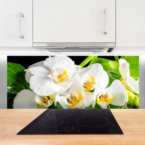 Panel Szklany Królewska Orchidea w Rozkwicie