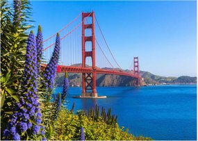 Obraz na szkle - Most Golden Gate, San Francisco (70x50 cm)
