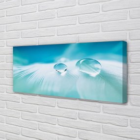 Obraz na płótnie Makrofotografia Kropli Wody