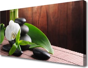 Obraz na płótnie Kwiat Storczyka w Klimacie Spa
