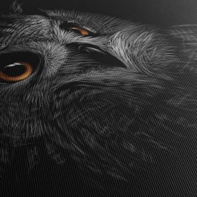 Obraz - Sowa, ilustracja (125x70 cm)