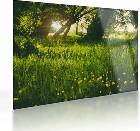 Obraz na szkle - natura - łąka (70x50 cm)