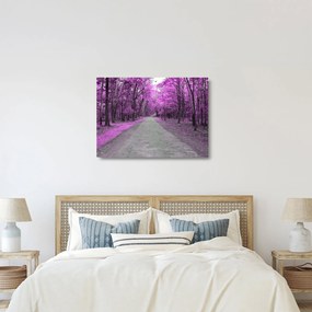 Obraz na szkle - Ścieżka przez park (70x50 cm)