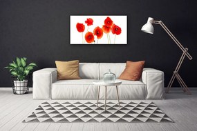 Obraz Canvas Maki Roślina Natura