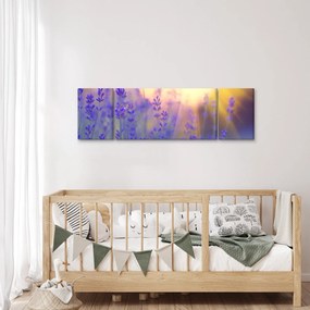 Obraz - Lawenda (170x50 cm)