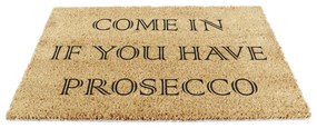 Wycieraczka z włókna kokosowego 40x60 cm Prosecco – Artsy Doormats