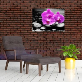 Obraz - Fioletowe orchidee (70x50 cm)