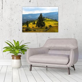 Obraz na szkle - Górska łąka (70x50 cm)