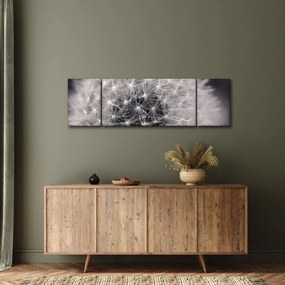 Obraz dmuchawca (170x50 cm)
