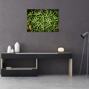 Obraz bez grzywki (70x50 cm)