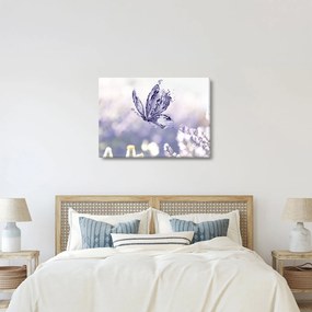 Obraz - Motyl i lawenda (70x50 cm)