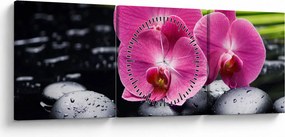 Obraz - Różowe orchidee z liściem palmy (z zegarem) (90x30 cm)