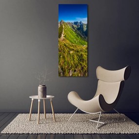 Fotoobraz szklany na ścianę do salonu Tatry