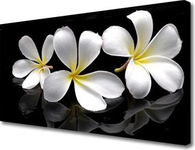 Zdjęcie na płótnie Wiosenny Powiew Kwiatów