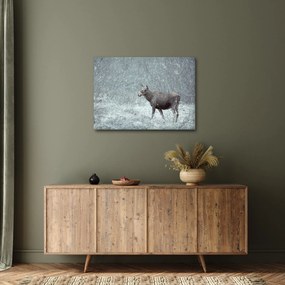 Obraz - Łoś w śnieżnym lesie (70x50 cm)