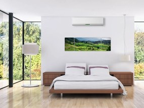 Obraz pól ryżowych (170x50 cm)