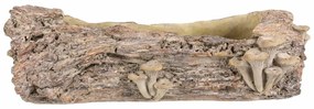 Opakowanie betonowe - skrzynka, drewno z grzybami,49 x 21 x 15 cm