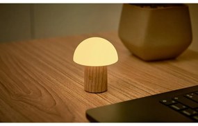 Lampa stołowa LED ze ściemniaczem z litego drewna jesionowego (wysokość 7 cm) Alice – Gingko