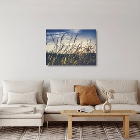 Obraz na szkle kwiatów łąkowych (70x50 cm)