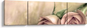 Obraz - Delikatne róże (170x50 cm)