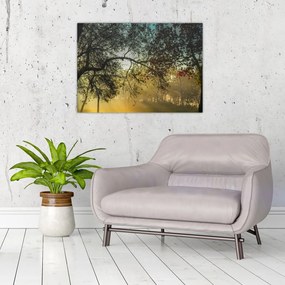 Obraz wschodu słońca (70x50 cm)