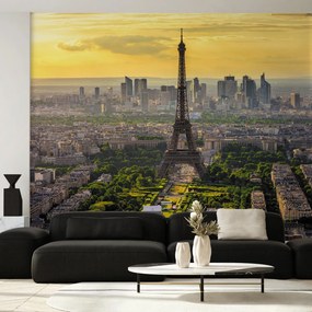 Fototapeta - Panorama Paryża (196x136 cm)