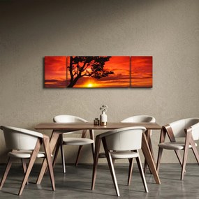 Obraz - Zachód słońca (170x50 cm)