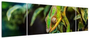 Obraz kameleona (170x50 cm)