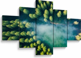 Obraz - Las spowity mgłą (125x70 cm)