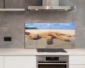 Szklany Panel Relaks Psa na Gorącym Piasku