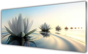 Panel Szklany Lilie Wodne w Cichym Stawie