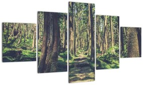Obraz ścieżki pomiędzy drzewami (125x70 cm)