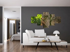 Obraz - wiewiórka (125x70 cm)