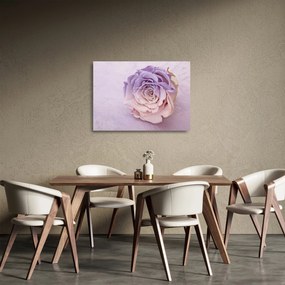 Obraz na szkle szczegółu kwiatu róży (70x50 cm)