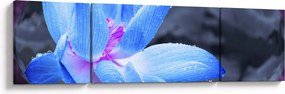 Obraz szczegółu kwiatu (170x50 cm)