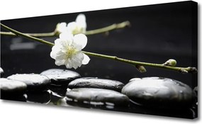 Obraz canvas na ścianę Kwitnąca Gałązka Jabłoni