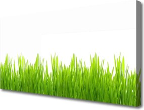 Zdjęcie na płótnie Soczysta Zieleń Polany