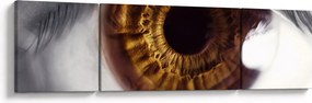 Obraz - Oko (170x50 cm)